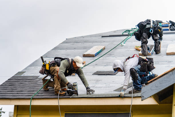 Professional Emergency Roof Repair technician working in Saint Croix Falls, WI